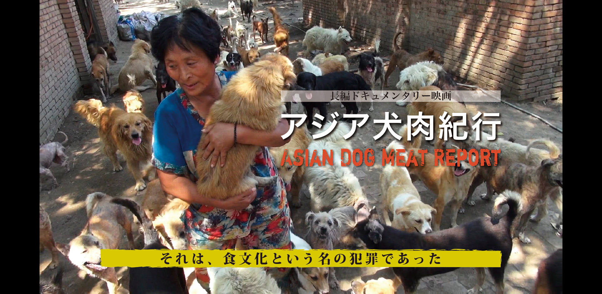 映画「アジア犬肉紀行」Asian Dog Meat Report