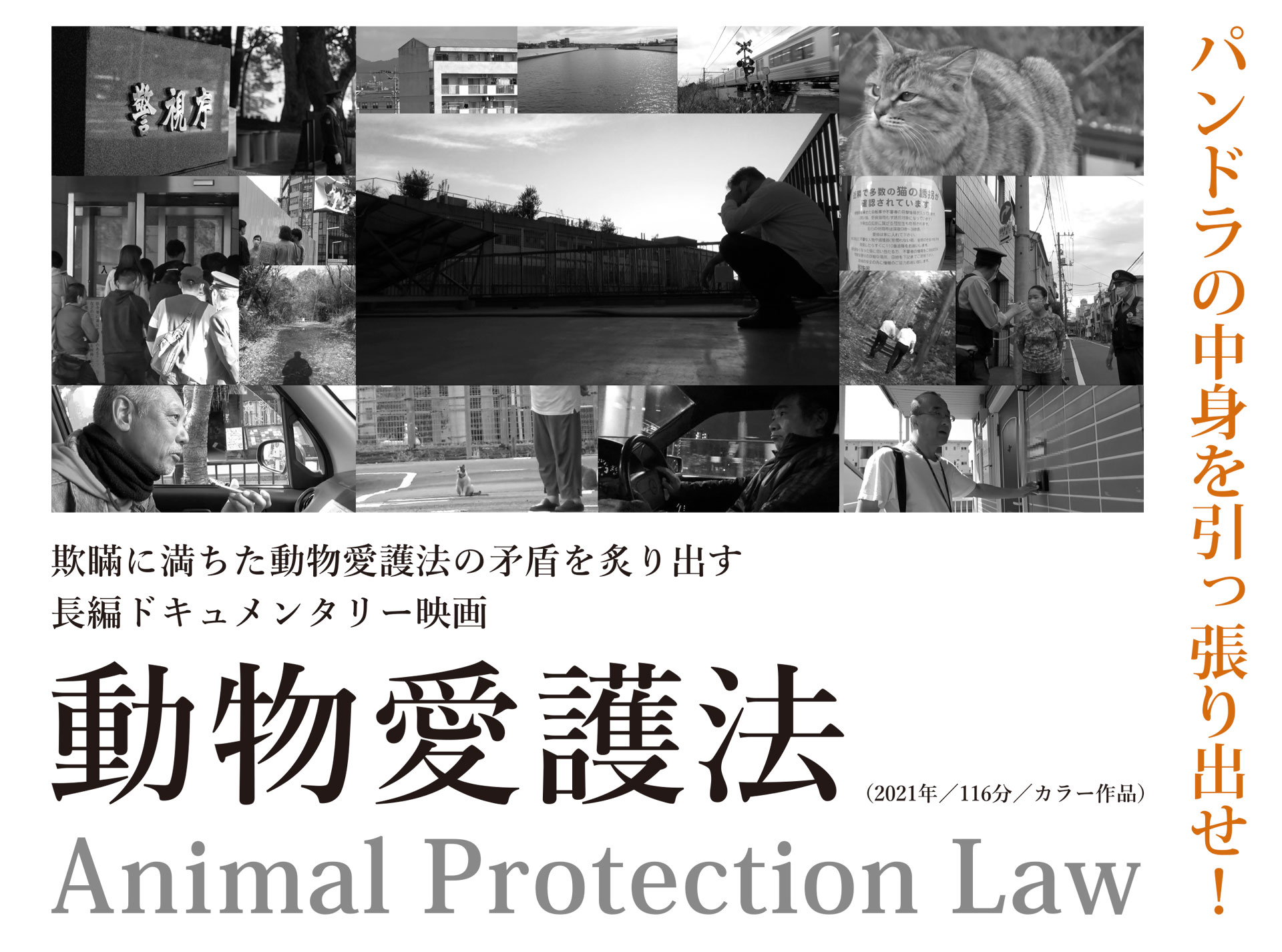 動物愛護法メインイメージ